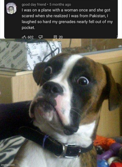 ohok | image tagged in scared dog,dark humor | made w/ Imgflip meme maker