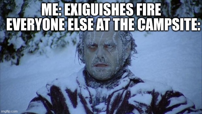 i just turned off the fire | ME: EXIGUISHES FIRE; EVERYONE ELSE AT THE CAMPSITE: | image tagged in cold | made w/ Imgflip meme maker