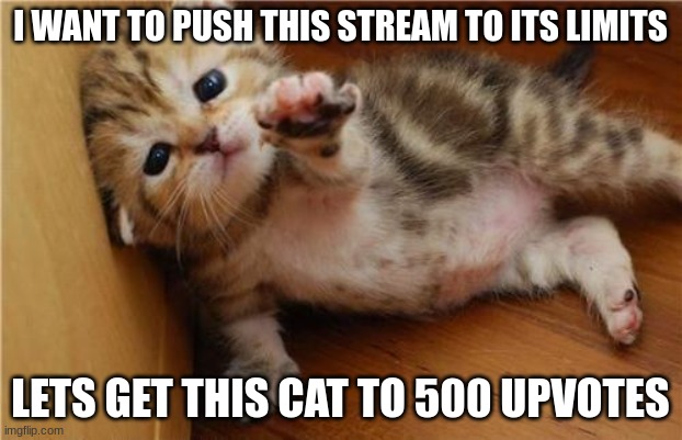 The biggest meme would be if this acutally happened | I WANT TO PUSH THIS STREAM TO ITS LIMITS; LETS GET THIS CAT TO 500 UPVOTES | image tagged in help me kitten | made w/ Imgflip meme maker