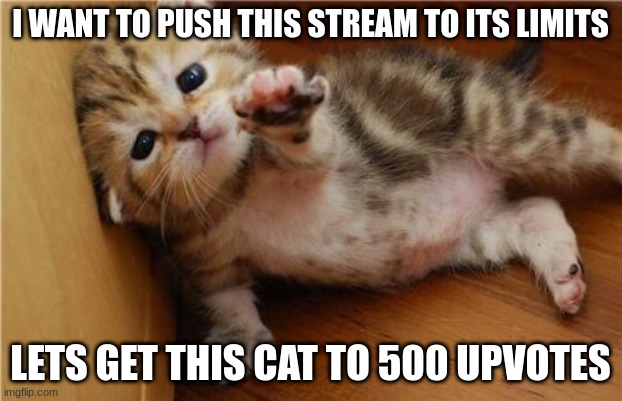 I want to push this stream to its limits | I WANT TO PUSH THIS STREAM TO ITS LIMITS; LETS GET THIS CAT TO 500 UPVOTES | image tagged in help me kitten | made w/ Imgflip meme maker