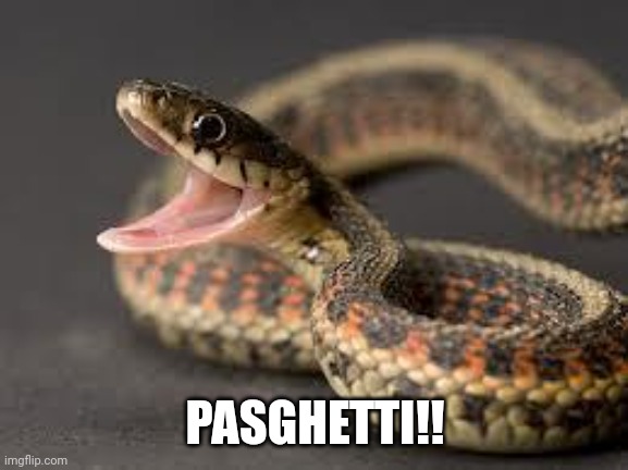 Warning Snake | PASGHETTI!! | image tagged in warning snake | made w/ Imgflip meme maker