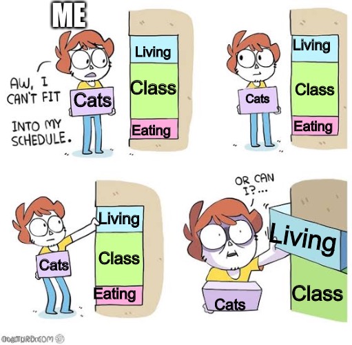 I rather die than not have cat time | ME; Living; Living; Class; Class; Cats; Cats; Eating; Eating; Living; Living; Class; Cats; Class; Eating; Cats | image tagged in schedule meme | made w/ Imgflip meme maker