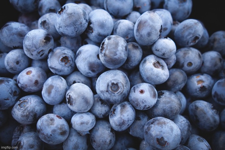 blueberries | image tagged in blueberries | made w/ Imgflip meme maker