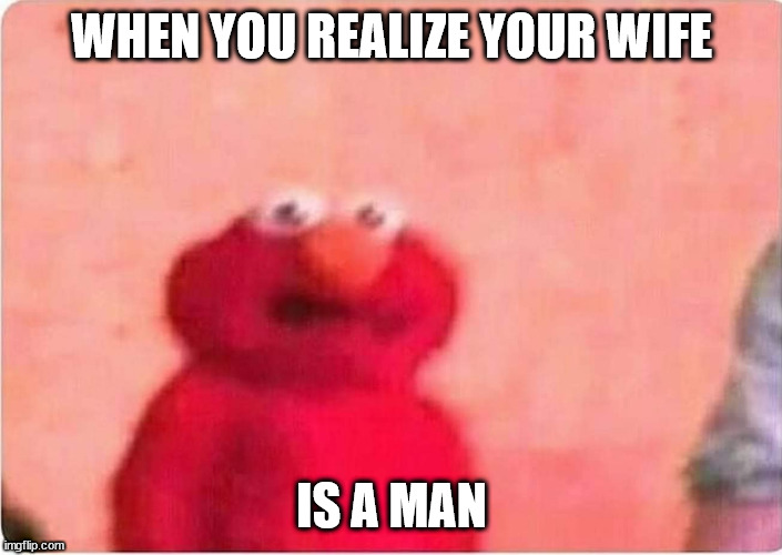 Doesn't this happen to everyone... right...? | WHEN YOU REALIZE YOUR WIFE; IS A MAN | image tagged in sickened elmo | made w/ Imgflip meme maker