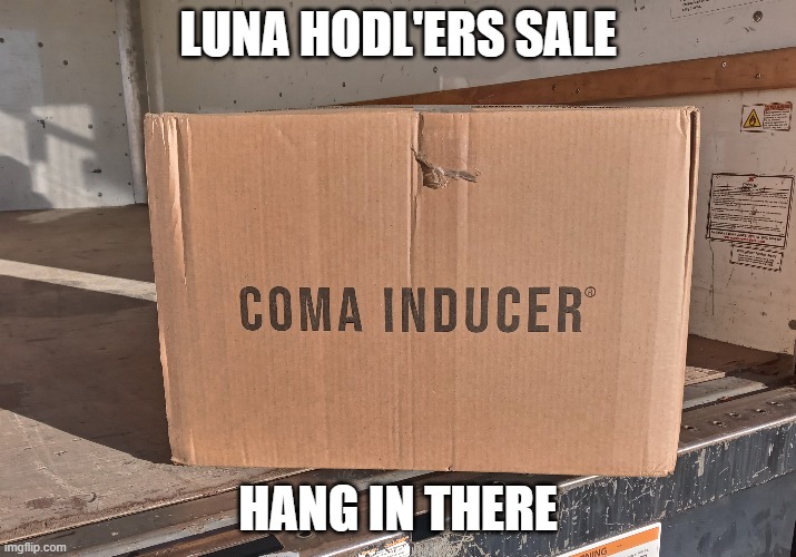 Luna Sale | LUNA HODL'ERS SALE; HANG IN THERE | image tagged in luna | made w/ Imgflip meme maker