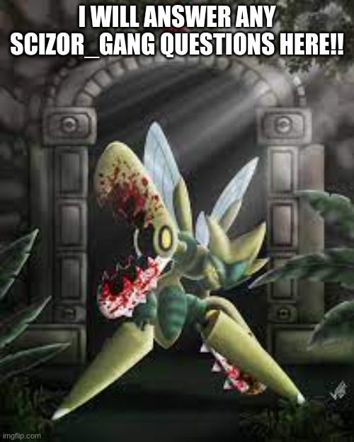 Death the shiny mega Scizor |  I WILL ANSWER ANY SCIZOR_GANG QUESTIONS HERE!! | image tagged in death the shiny mega scizor | made w/ Imgflip meme maker