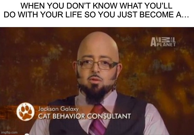 Me for real |  WHEN YOU DON’T KNOW WHAT YOU’LL DO WITH YOUR LIFE SO YOU JUST BECOME A… | image tagged in memes,funny,why,wait what,what the heck,cats | made w/ Imgflip meme maker