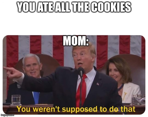 You weren't supposed to do that | YOU ATE ALL THE COOKIES; MOM: | image tagged in you werent supposed to do that | made w/ Imgflip meme maker