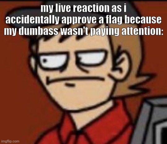 my live reaction as i accidentally approve a flag because my dumbass wasn't paying attention: | made w/ Imgflip meme maker