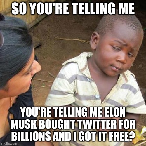 Third World Skeptical Kid | SO YOU'RE TELLING ME; YOU'RE TELLING ME ELON MUSK BOUGHT TWITTER FOR BILLIONS AND I GOT IT FREE? | image tagged in memes,third world skeptical kid | made w/ Imgflip meme maker