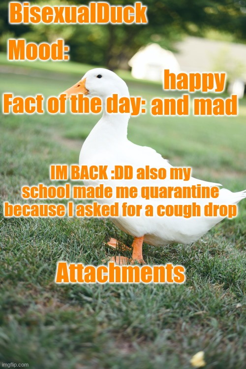 idk if anyone missed me | happy and mad; IM BACK :DD also my school made me quarantine because I asked for a cough drop | image tagged in announcement | made w/ Imgflip meme maker