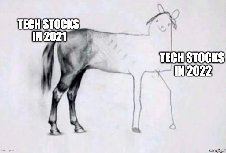 Horse Drawing | TECH STOCKS 
IN 2021; TECH STOCKS
 IN 2022 | image tagged in horse drawing | made w/ Imgflip meme maker