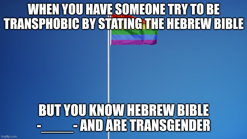 Some people really have the NERVE!!! | WHEN YOU HAVE SOMEONE TRY TO BE TRANSPHOBIC BY STATING THE HEBREW BIBLE; BUT YOU KNOW HEBREW BIBLE -____- AND ARE TRANSGENDER | image tagged in lgbtq flag | made w/ Imgflip meme maker