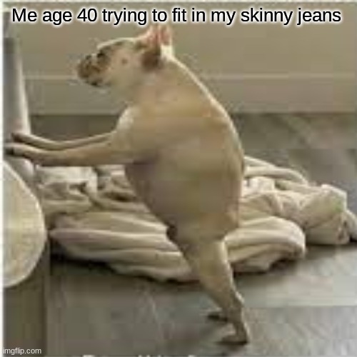 Me age 40 trying to fit in my skinny jeans |  Me age 40 trying to fit in my skinny jeans | image tagged in memes | made w/ Imgflip meme maker