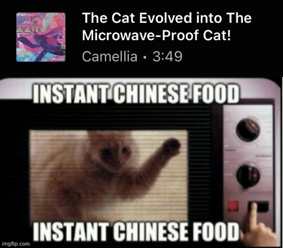 no more instant chinese food :( | image tagged in instant chinese food | made w/ Imgflip meme maker