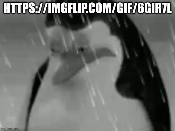 the sad | HTTPS://IMGFLIP.COM/GIF/6GIR7L | image tagged in the sad | made w/ Imgflip meme maker