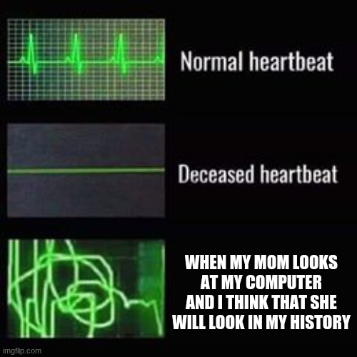 heartbeat rate | WHEN MY MOM LOOKS AT MY COMPUTER AND I THINK THAT SHE WILL LOOK IN MY HISTORY | image tagged in heartbeat rate | made w/ Imgflip meme maker