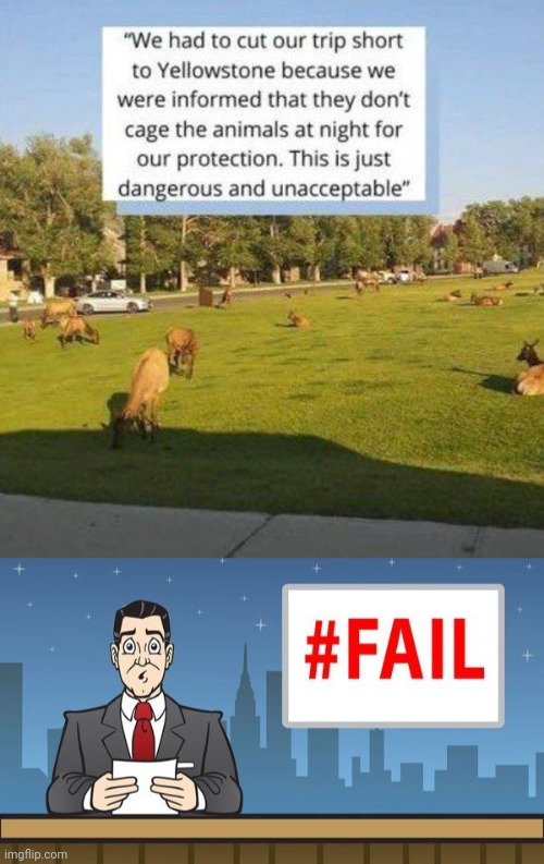 Mission failed | image tagged in fail news,you had one job,memes,meme,animals,animal | made w/ Imgflip meme maker