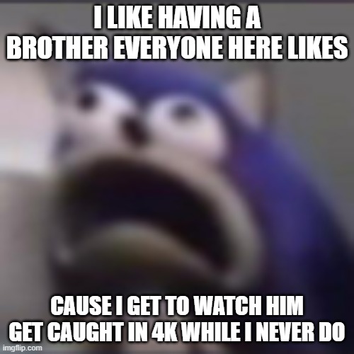 distress | I LIKE HAVING A BROTHER EVERYONE HERE LIKES; CAUSE I GET TO WATCH HIM GET CAUGHT IN 4K WHILE I NEVER DO | image tagged in distress | made w/ Imgflip meme maker