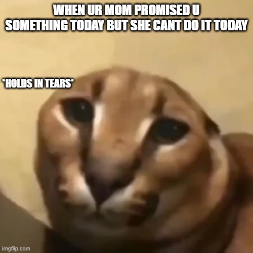 so sad | WHEN UR MOM PROMISED U SOMETHING TODAY BUT SHE CANT DO IT TODAY; *HOLDS IN TEARS* | image tagged in big floppa | made w/ Imgflip meme maker