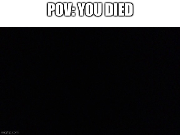 Idk what to caption these things anymore | POV: YOU DIED | image tagged in pov | made w/ Imgflip meme maker