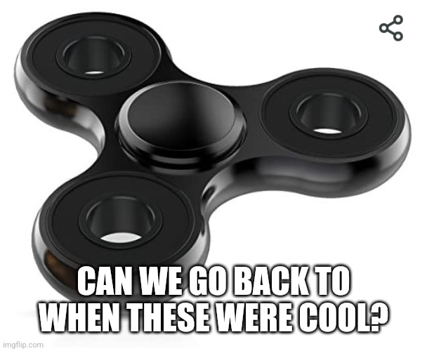 I just want to be in simpler times |  CAN WE GO BACK TO WHEN THESE WERE COOL? | image tagged in nostalgia,fidget spinner,sad | made w/ Imgflip meme maker