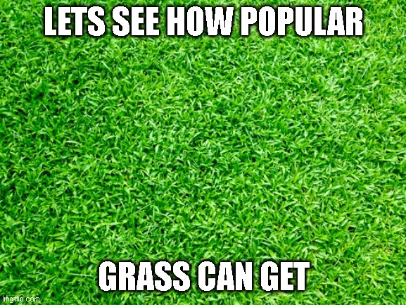  LETS SEE HOW POPULAR; GRASS CAN GET | image tagged in never gonna give you up | made w/ Imgflip meme maker