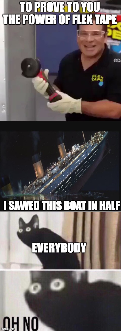 Phil Swift proves to you the power of Flex Tape by sawing this boat in half | TO PROVE TO YOU THE POWER OF FLEX TAPE; I SAWED THIS BOAT IN HALF; EVERYBODY | image tagged in i sawed this boat in half,titanic sinking,oh no cat | made w/ Imgflip meme maker
