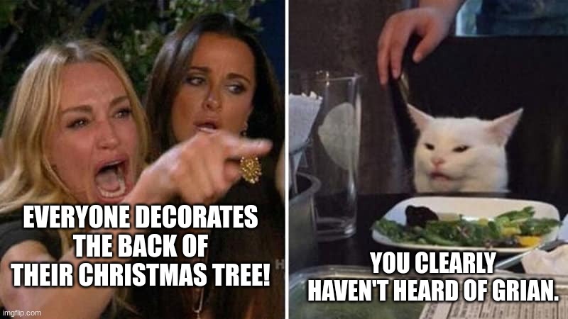 Girls vs Cat | EVERYONE DECORATES THE BACK OF THEIR CHRISTMAS TREE! YOU CLEARLY HAVEN'T HEARD OF GRIAN. | image tagged in girls vs cat,grian,christmas tree | made w/ Imgflip meme maker
