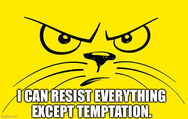 Cat | I CAN RESIST EVERYTHING EXCEPT TEMPTATION. | image tagged in i can resist,everything,except,tempation,cat | made w/ Imgflip meme maker