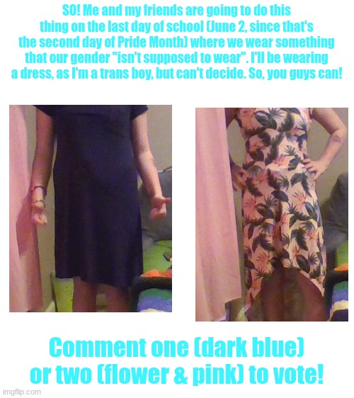 I don't know what my friends will wear, but I think one of them is going to wear a suit and her boyfriend is gonna wear a dress  | SO! Me and my friends are going to do this thing on the last day of school (June 2, since that's the second day of Pride Month) where we wear something that our gender "isn't supposed to wear". I'll be wearing a dress, as I'm a trans boy, but can't decide. So, you guys can! Comment one (dark blue) or two (flower & pink) to vote! | image tagged in blank white template | made w/ Imgflip meme maker