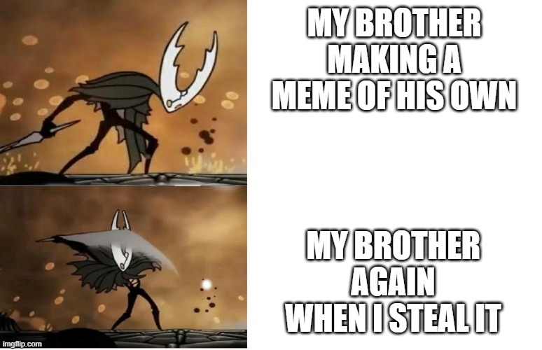 stabby knight | MY BROTHER MAKING A MEME OF HIS OWN; MY BROTHER AGAIN WHEN I STEAL IT | image tagged in gaming | made w/ Imgflip meme maker