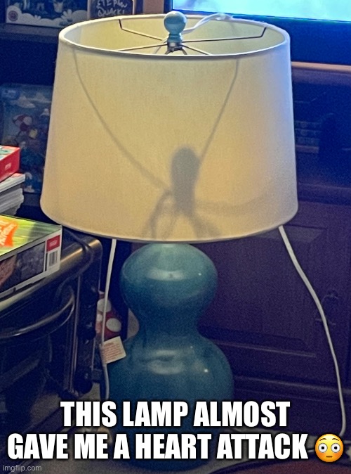 Looks Like A Spiders Shadow Inside This Lamp | THIS LAMP ALMOST GAVE ME A HEART ATTACK 😳 | image tagged in spider,lamp,shadow,heart attack,funny meme | made w/ Imgflip meme maker