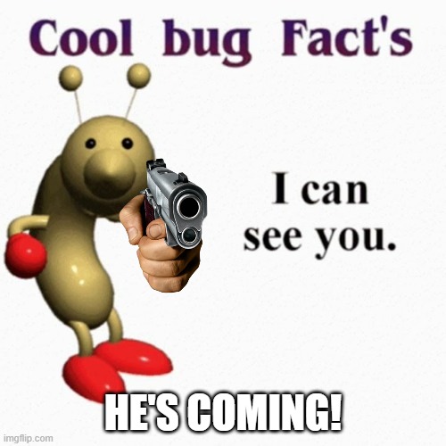 BUG DONT DO IT! | HE'S COMING! | image tagged in cool bug facts,gun | made w/ Imgflip meme maker