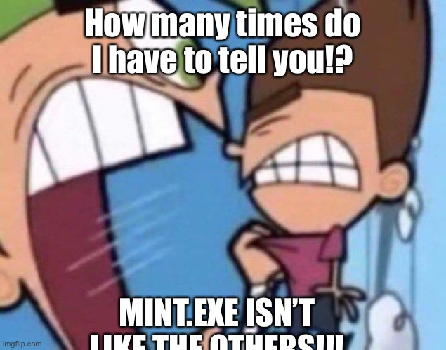 Cosmo yelling at timmy | How many times do I have to tell you!? MINT.EXE ISN’T LIKE THE OTHERS!!! | image tagged in cosmo yelling at timmy | made w/ Imgflip meme maker