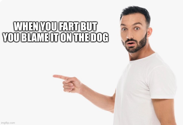 When You Fart But You Blame It On The Dog | WHEN YOU FART BUT YOU BLAME IT ON THE DOG | image tagged in dog,fart,blame it on the dog,funny memes,point the finger | made w/ Imgflip meme maker