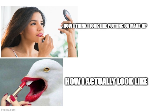 yep | HOW I THINK I LOOK LIKE PUTTING ON MAKE-UP; HOW I ACTUALLY LOOK LIKE | image tagged in blank white template | made w/ Imgflip meme maker