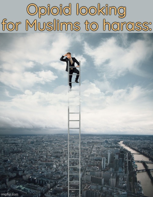 . | Opioid looking for Muslims to harass: | image tagged in searching | made w/ Imgflip meme maker