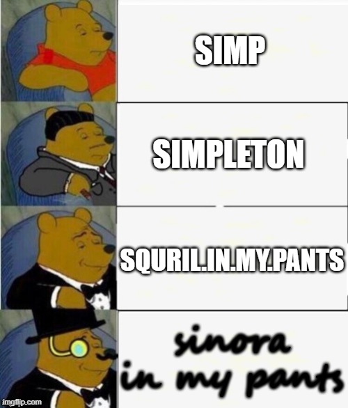 wtf | SIMP; SIMPLETON; SQURIL.IN.MY.PANTS; sinora in my pants | image tagged in tuxedo winnie the pooh 4 panel,wtf | made w/ Imgflip meme maker