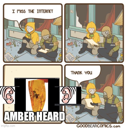 I miss the internet | AMBER HEARD | image tagged in i miss the internet | made w/ Imgflip meme maker