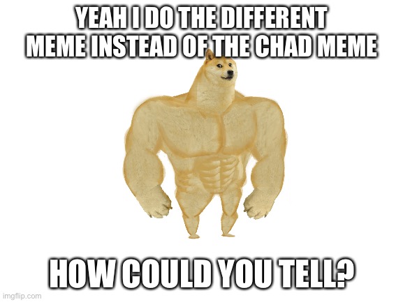 Blank White Template | YEAH I DO THE DIFFERENT MEME INSTEAD OF THE CHAD MEME; HOW COULD YOU TELL? | image tagged in blank white template | made w/ Imgflip meme maker