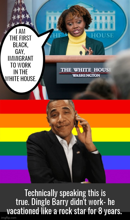 Biden Press Secretary First black gay immigrant in WH | I AM THE FIRST BLACK, GAY,  IMMIGRANT TO WORK IN THE WHITE HOUSE. Technically speaking this is true. Dingle Barry didn't work- he vacationed like a rock star for 8 years. | image tagged in grey blank temp,black box | made w/ Imgflip meme maker
