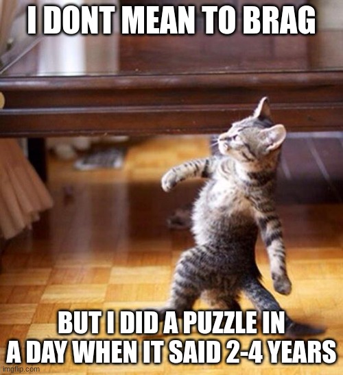 might be a world record! | I DONT MEAN TO BRAG; BUT I DID A PUZZLE IN A DAY WHEN IT SAID 2-4 YEARS | image tagged in swag cat | made w/ Imgflip meme maker