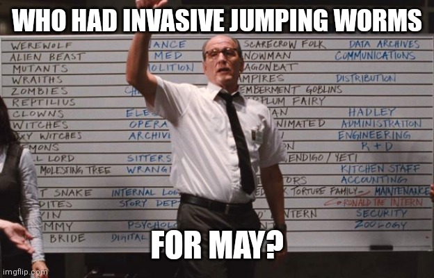 Who had invasive worms for May | WHO HAD INVASIVE JUMPING WORMS; FOR MAY? | image tagged in who had | made w/ Imgflip meme maker