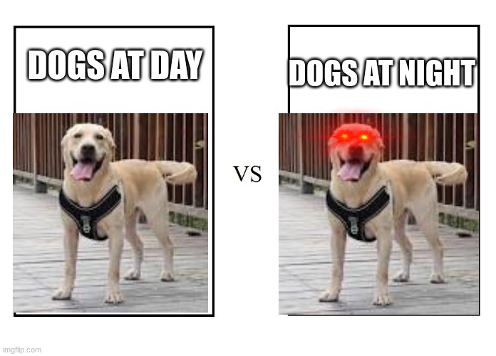 eyes |  DOGS AT NIGHT; DOGS AT DAY | image tagged in versus,dogs | made w/ Imgflip meme maker