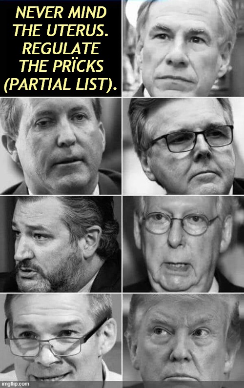 NEVER MIND THE UTERUS. REGULATE THE PRÏCKS (PARTIAL LIST). | image tagged in republicans,hatred,women,women's rights,gop,jerks | made w/ Imgflip meme maker