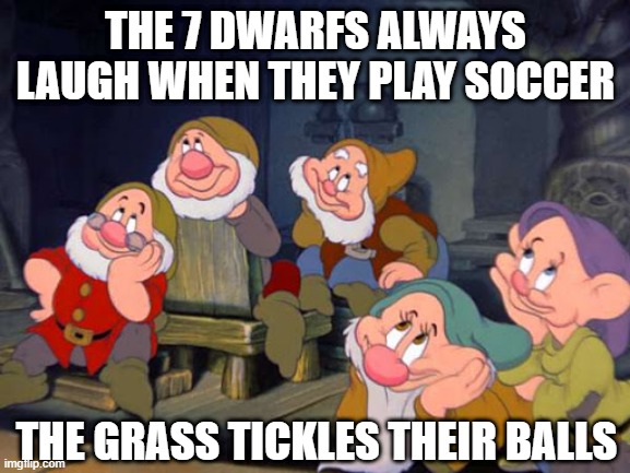 Low Hoooooooo | THE 7 DWARFS ALWAYS LAUGH WHEN THEY PLAY SOCCER; THE GRASS TICKLES THEIR BALLS | image tagged in seven dwarfs | made w/ Imgflip meme maker