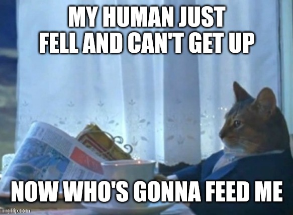 Cat reading newspaper for breakfast | MY HUMAN JUST FELL AND CAN'T GET UP; NOW WHO'S GONNA FEED ME | image tagged in cat reading newspaper for breakfast | made w/ Imgflip meme maker