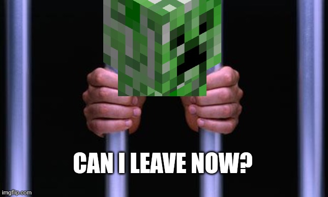 Prison Bars | CAN I LEAVE NOW? | image tagged in prison bars | made w/ Imgflip meme maker