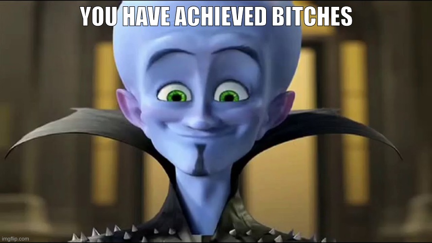 You have achieved Bitches | image tagged in you have achieved bitches | made w/ Imgflip meme maker